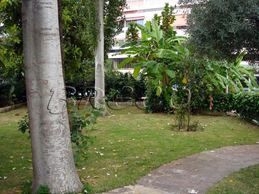 Apartamentos Cervantes Benidorm Dış mekan fotoğraf